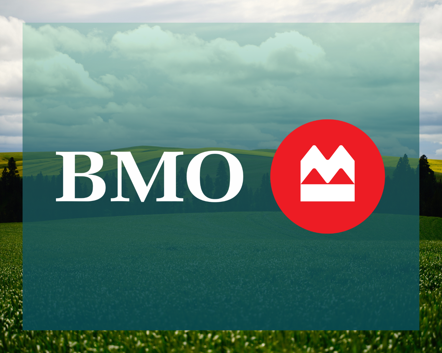 BMO case study