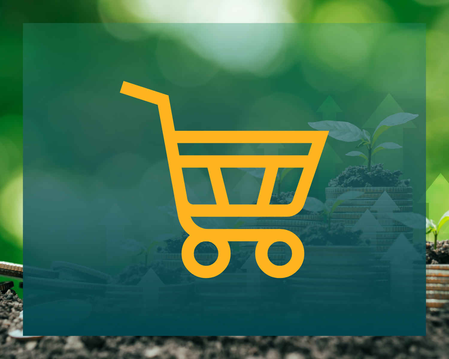 Climate finance strategy global retailer