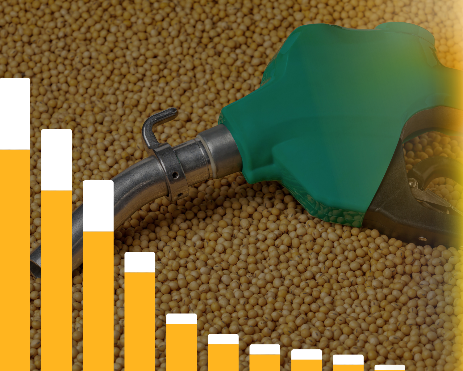 Renewable fuels dashboard