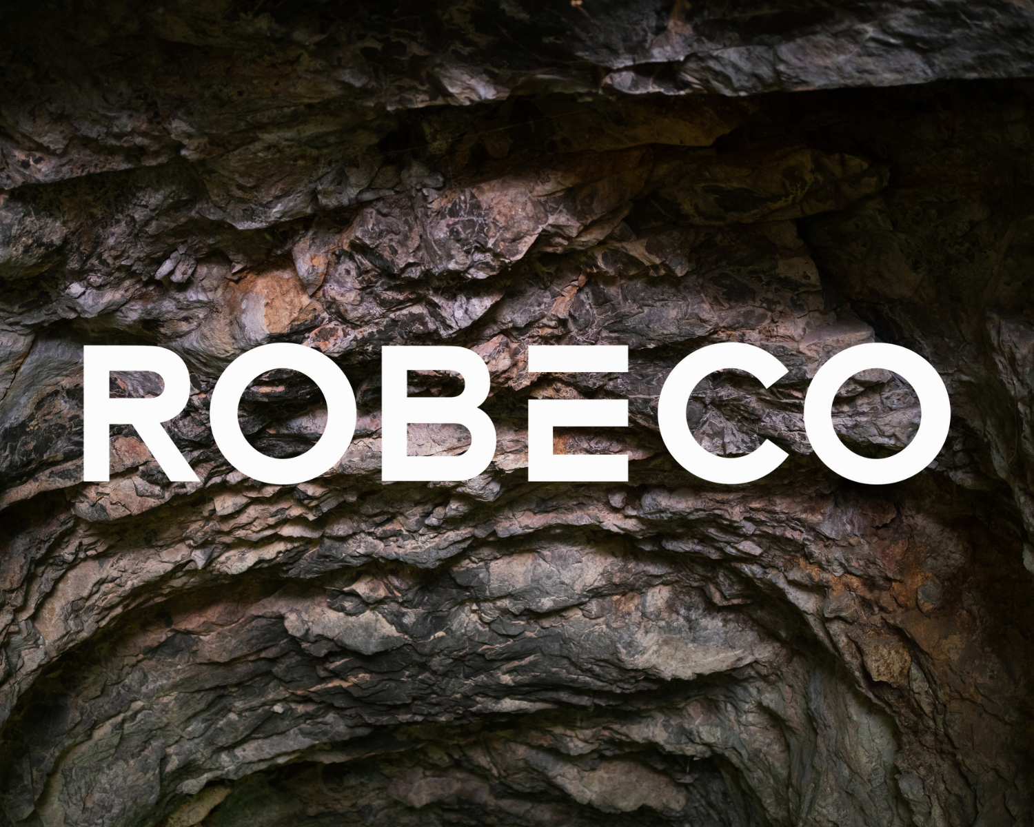 Robeco case study