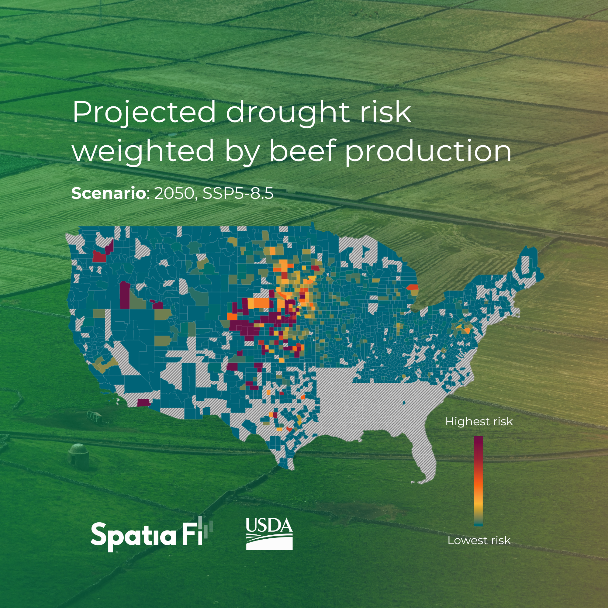 Home_beef_small_updated