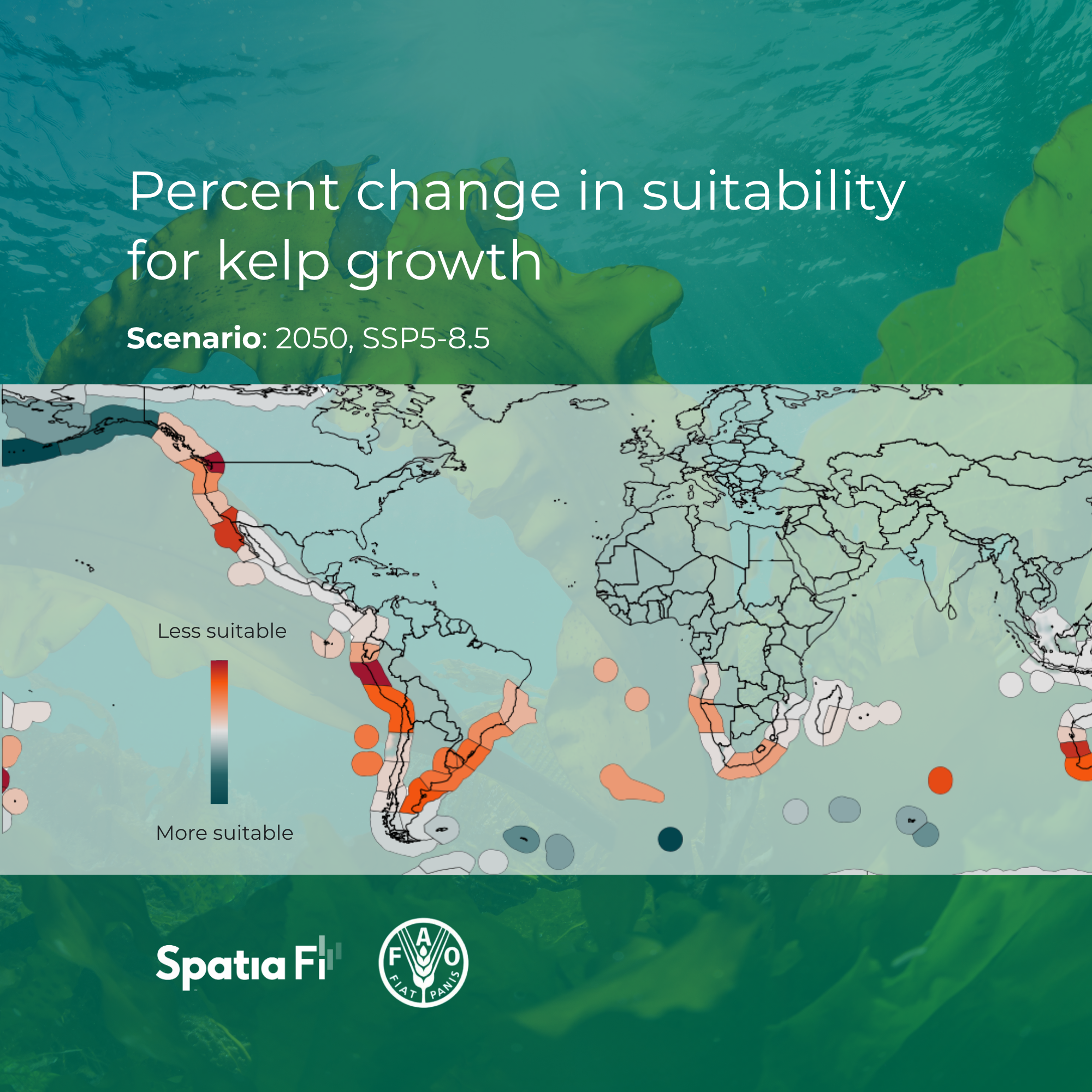 Home_kelp_small_updated