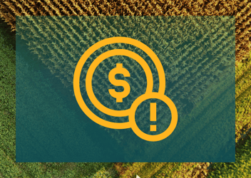 Uncovering physical risk through scenario planning and spatial finance