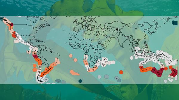 Spatial finance beauty case study