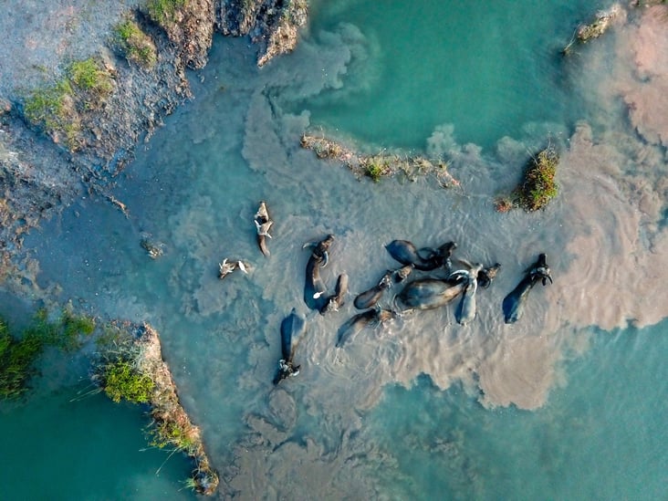 Nature_catalytic communities