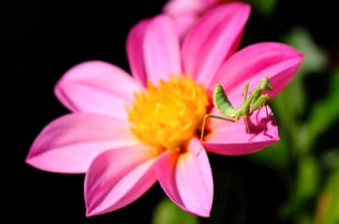 Nature_nature ag