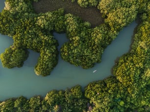 Nature_watershed resilience
