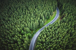 Transition strategy_corporate strategy