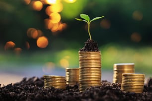 Transition strategy_finance strategy
