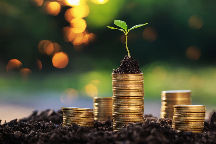 Transition strategy_finance strategy