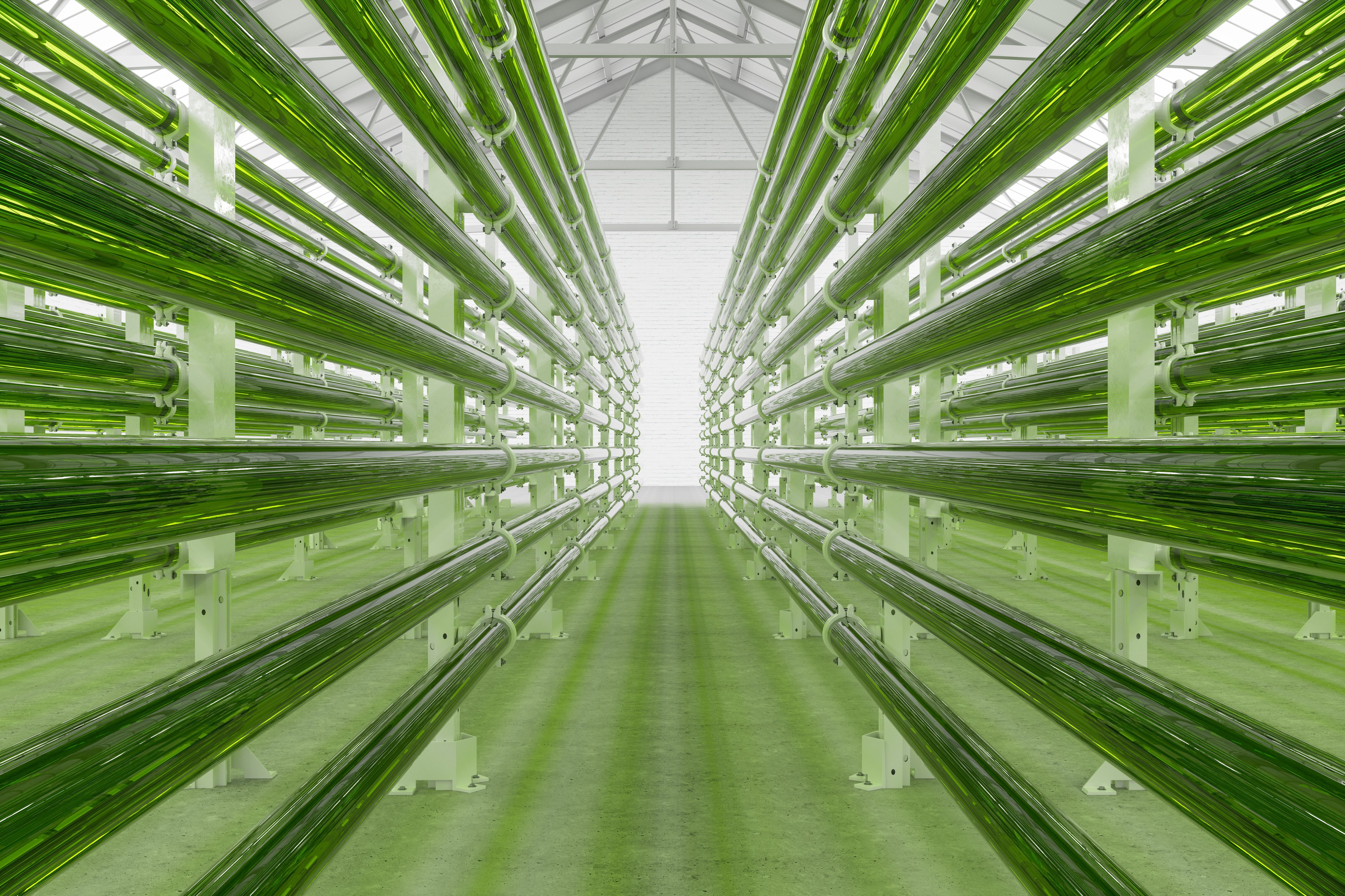 What we do_renewable fuels